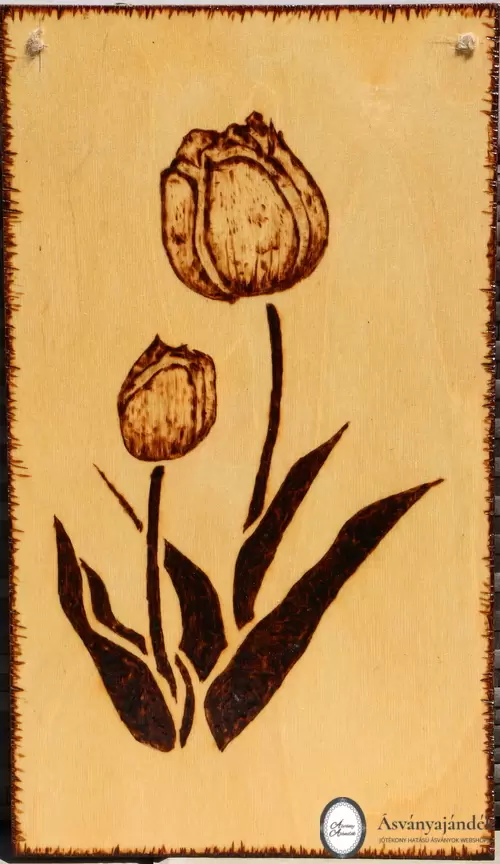 Fali kép- tulipán mintás II.